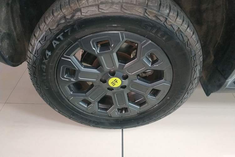 Used JETOUR Shanhai Traveler C-DM 2024 C-DM 206KM Four-Wheel Drive Wilderness Edition