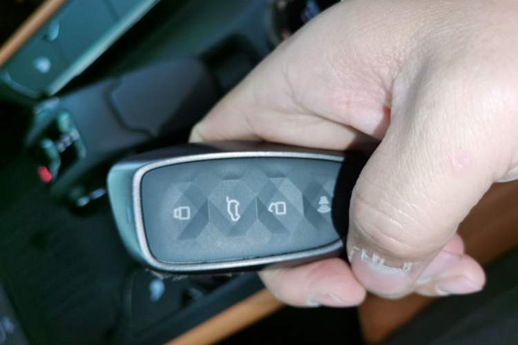 Used Haval H Dog New Energy 2024 Hi4 102km Trend Electric Version Plus
