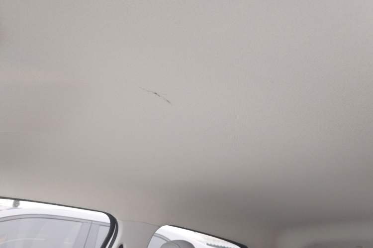 Used Leapmotor T03 2022 Agate Edition Headliner