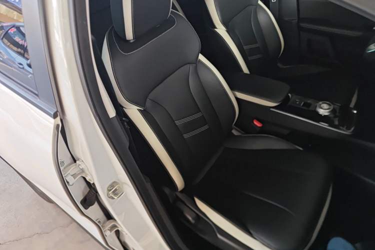 Used Geometry E Firefly 2022 401KM Lightning Tiger 4-Seater