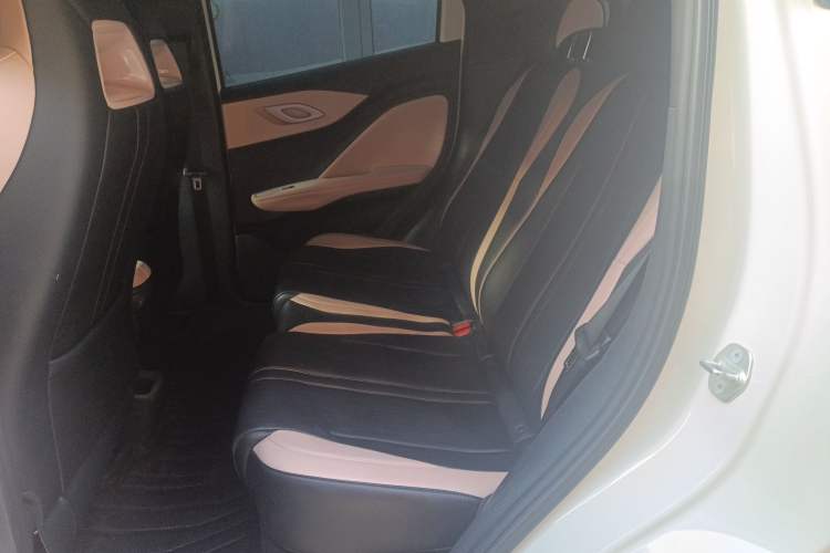 Used BYD Seagull 2025 305 km Free Version Left Rear Seat