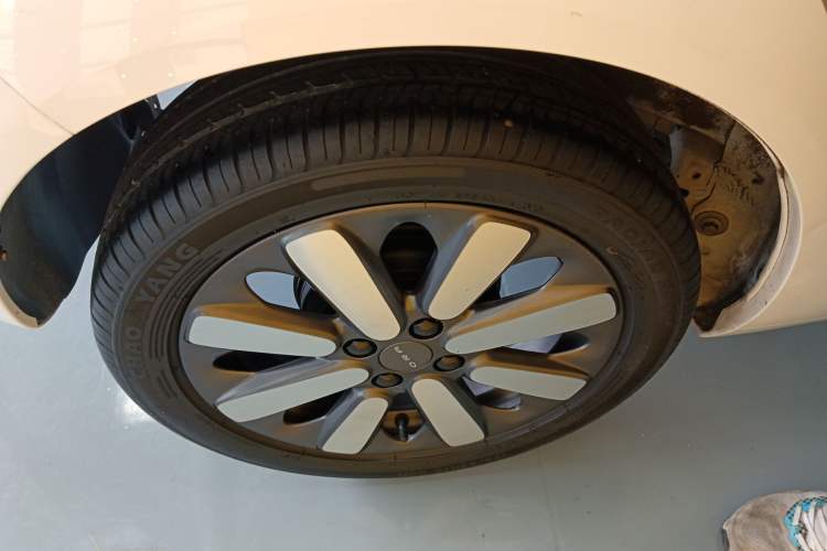 Used ORA Black Cat 2019 351 km Family Edition
