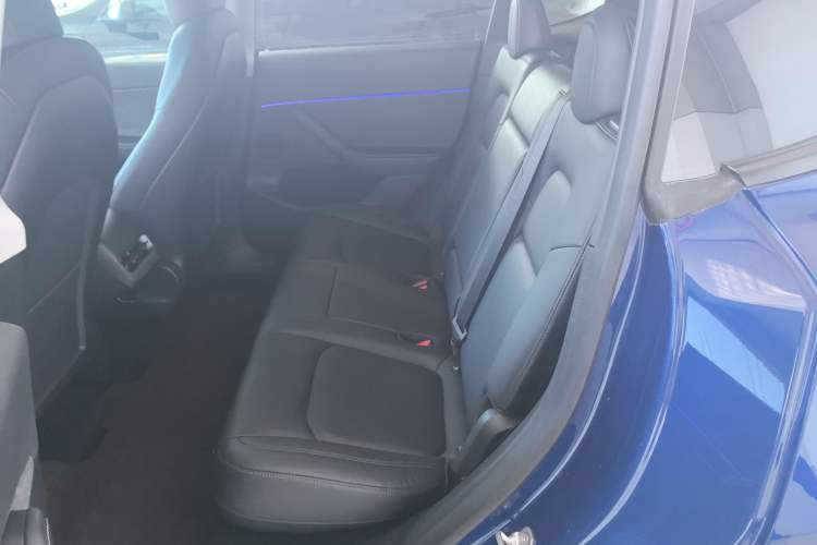 Used Tesla Model Y 2021 Standard Range Rear-Wheel Drive Version
