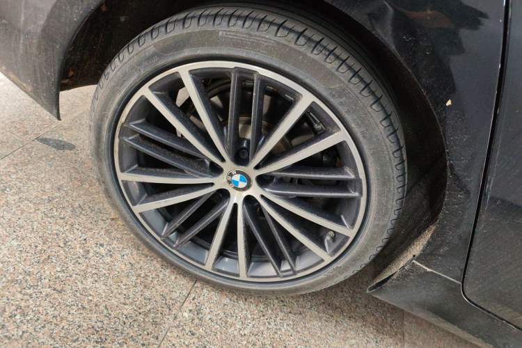 Used BMW 5 Series 2020 530Li Leading Model M Sport Package Exterior 5