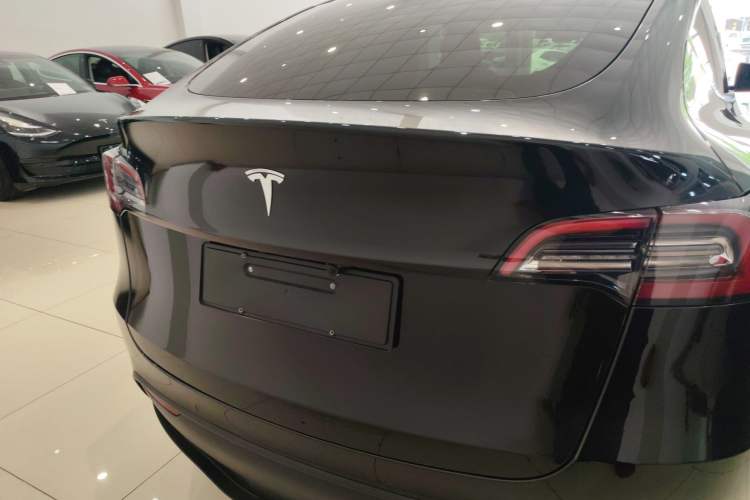 Used Tesla Model Y 2021 Long-Range All-Wheel-Drive Version Rear