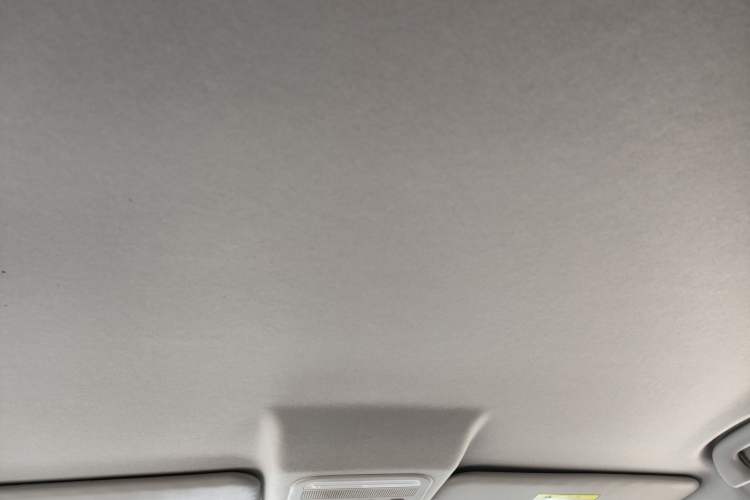 Used FORTHING T5 2024 Grand Edition 1.6L Manual Dream-Chasing Version 5 Seats Headliner