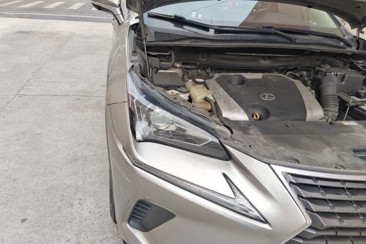 Used Lexus NX 2018 200 Front-Wheel-Drive X-Trail Version China V Standard
