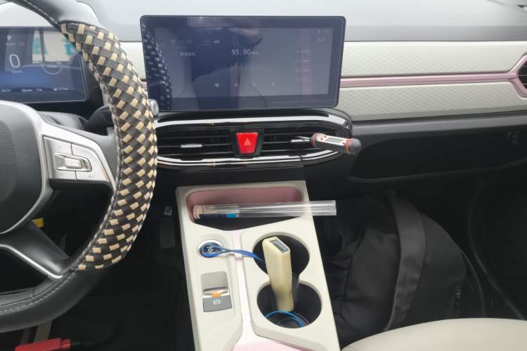 Used SOL E10X 2022 Flower Fairy Design Four-Leaf Clover Audio And AC Panel