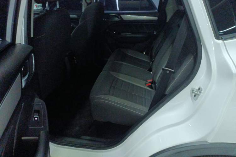 Used Roewe RX5 2020 20T Automatic 4G Connect Excellence Edition
