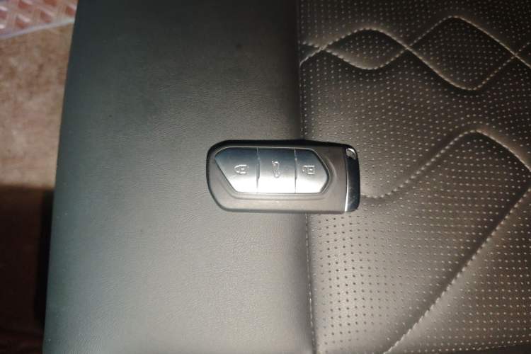 Used VOYAH FREE 2021 Four-Wheel Drive Standard Range-Extended Version
