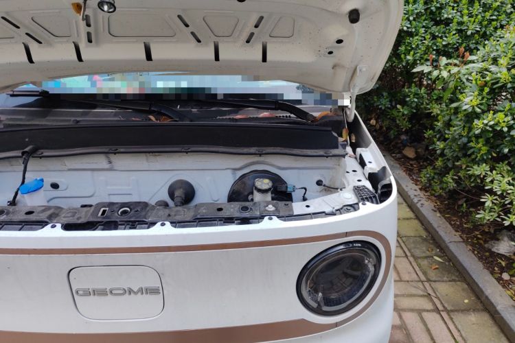 Used Geely Galaxy Panda 2023 Panda Mini 200km Dynamic Bear
