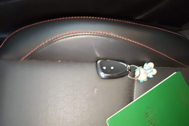 Used Chevrolet Orlando 2019 Redline 530T Automatic Luxury Edition (5-seat model) – China VI Standard
