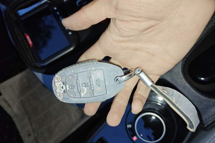 Used Electric House YOUNG Light XiaoXin 2023 408KM Pearl Edition
