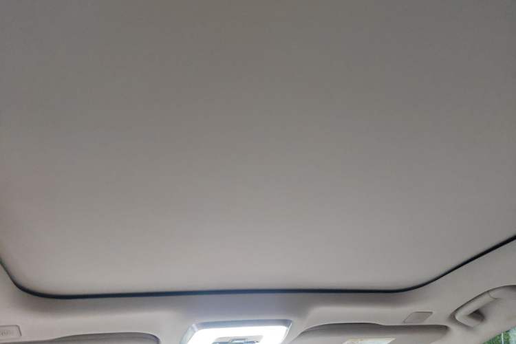 Used Hongqi H9 2020 2.0T Smart Connect Flagship Edition Headliner