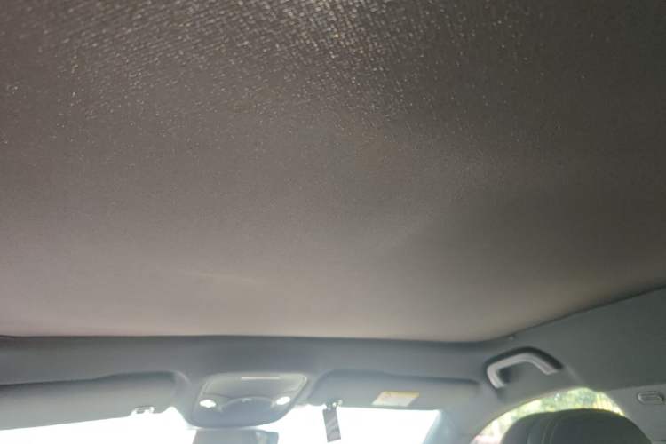 Used smart #3 2023 Pulse Four-Wheel Drive Edition Headliner