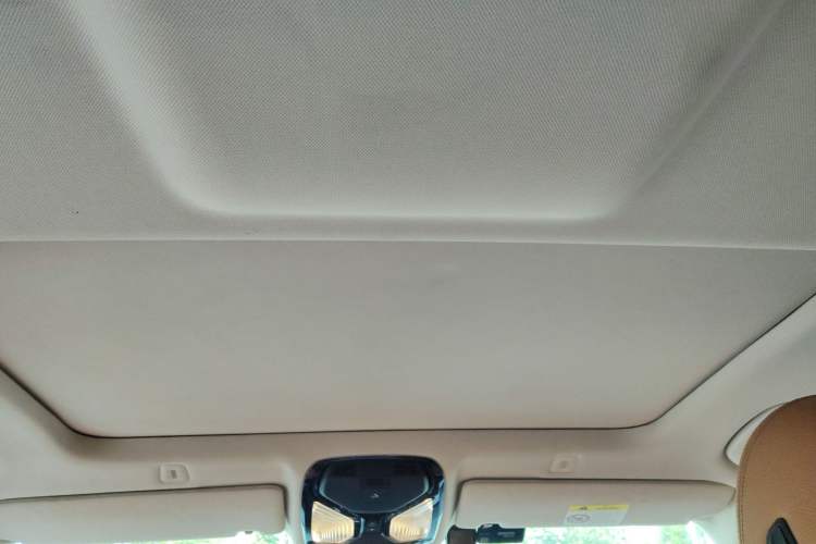 Used BMW 5 Series 2018 528Li Launch Special Edition Headliner