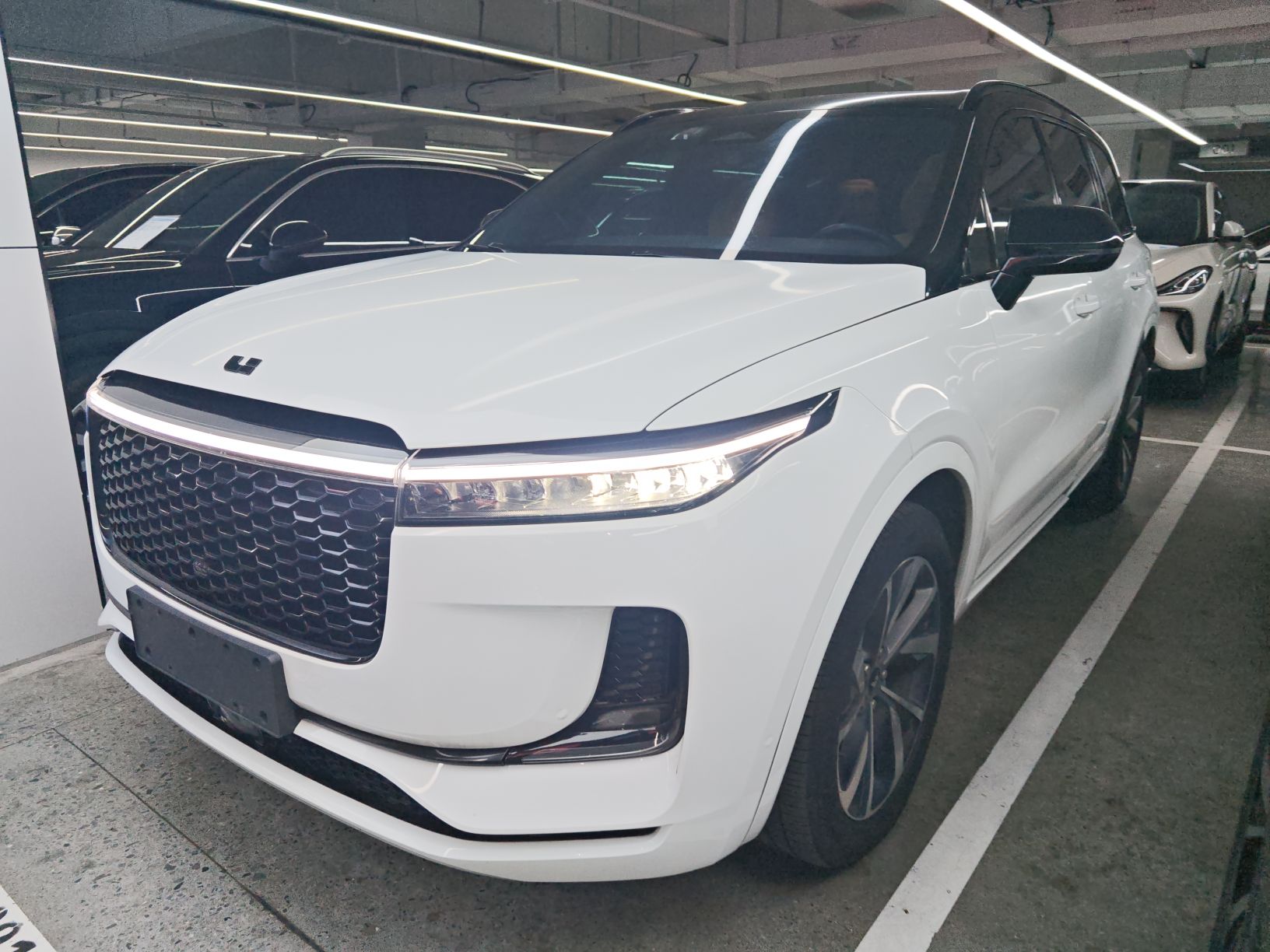 Parte inferior delantera