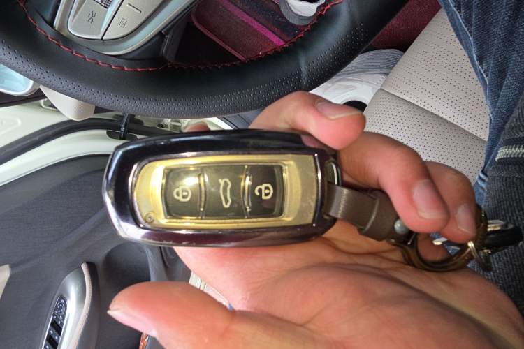 Used BYD Dolphin 2025 Smart Drive Version 420 km Freedom Edition
