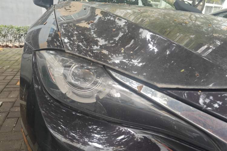 Used Mazda CX-4 2018 2.0L Automatic Two-Wheel Drive Blue Sky Premium Upgrade Version China V Standard