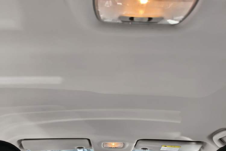 Used FORTHING S50 2021 Battery-Swapping Version