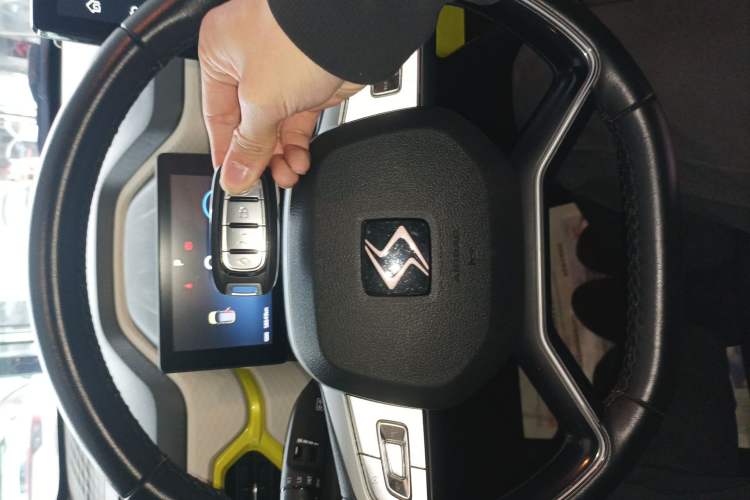 Used SOL E10X 2022 Flower Fairy Style Baby's Breath
