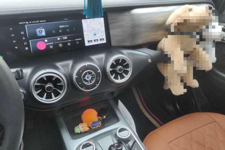 Used Tank 300 2021 City Edition 2.0T—Truly Stylish
