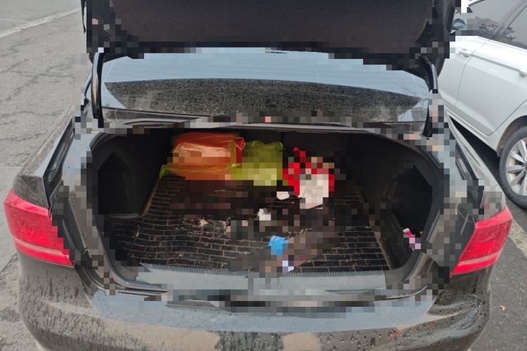 Used Volkswagen Magotan 2013 2.0 TSI Prestige Model