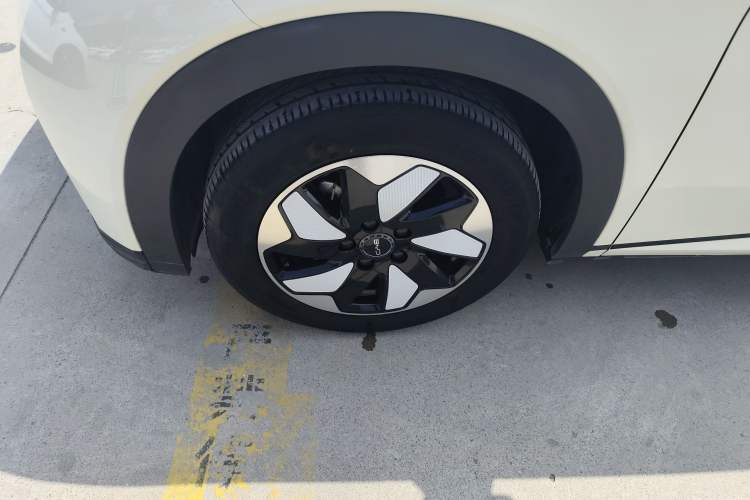 Used BYD Dolphin 2024 Honor Edition 420km Fashion Version Exterior 4