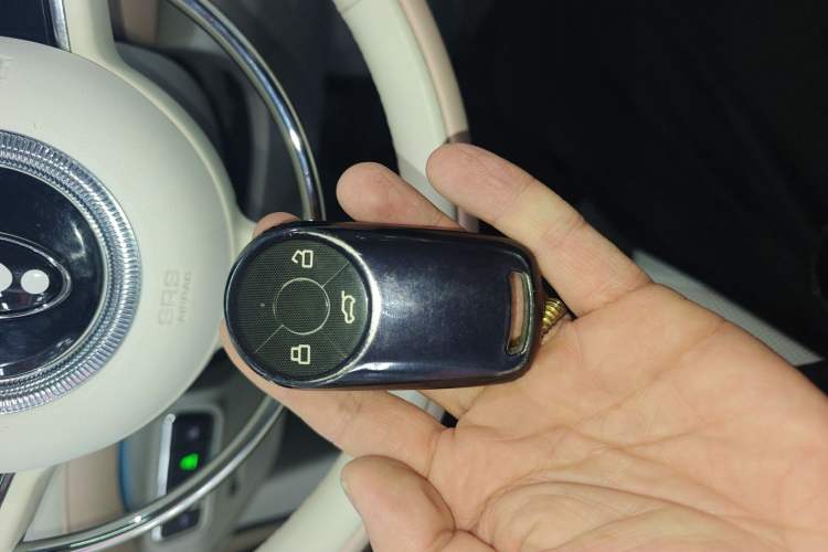 Used ORA Ballet Cat 2022 401 km Nutcracker Edition