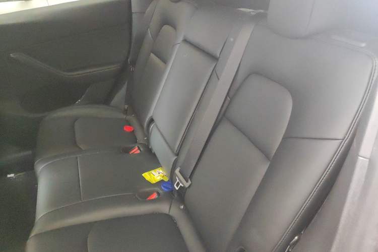 Used Tesla Model Y 2023 Long-Range All-Wheel-Drive Version Left Rear Seat