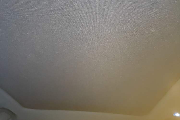 Used BYD Dolphin 2023 420 km Fashion Edition Headliner