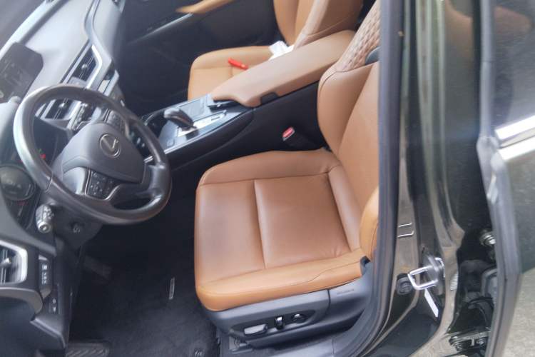 Used Lexus UX New Energy 2020 300e Pure·Enjoy Edition
