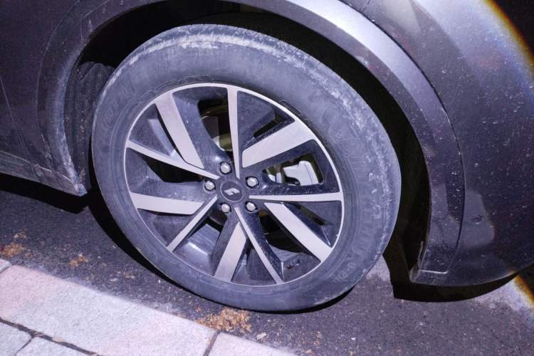 Used Li Auto L8 2023 Pro Model
