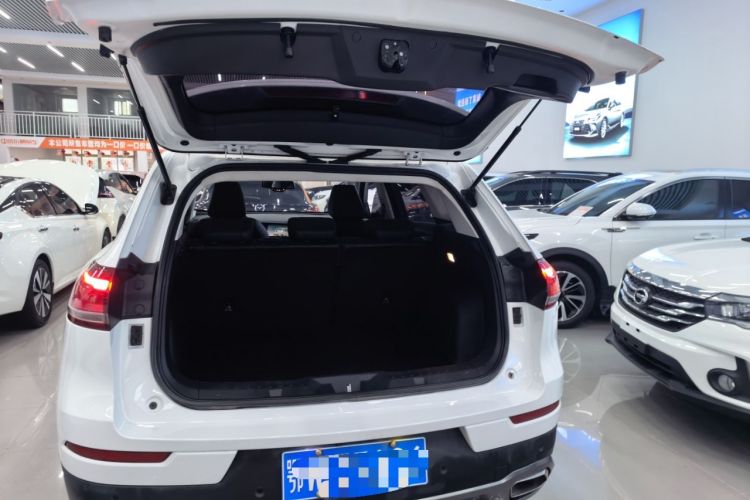 Used Haval H6 2020 2.0 GDIT Automatic Platinum Luxury Edition