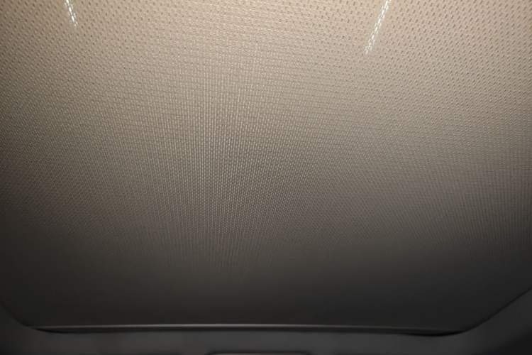 Used Volkswagen Tiguan 2010 2.0 TSI Automatic All-Wheel-Drive Elite Edition Headliner