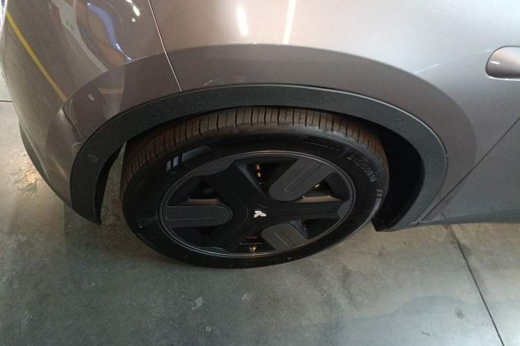 Used firefly firefly 2025 Illuminated Edition
