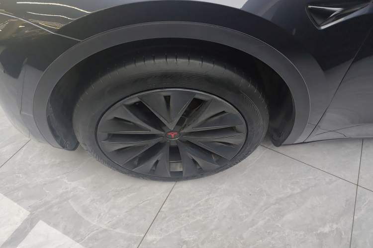 Used Tesla Model Y 2024 Rear-Wheel-Drive Version Exterior 4