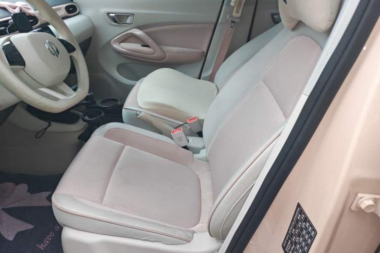 Used Leapmotor T03 2023 200 Lite Edition Left Front Seat