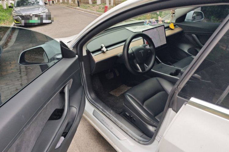 Used Tesla Model 3 2020 Standard Range Rear-Wheel Drive Upgraded Version Driver Seat