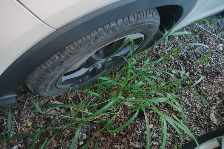 Used Honda Vezel 2015 1.8L CVT 2WD Luxury Model
