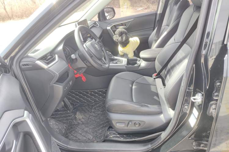 Used Toyota Wildlander 2020 Dual-Motor 2.5L E-CVT Four-Wheel Drive Luxury Edition
