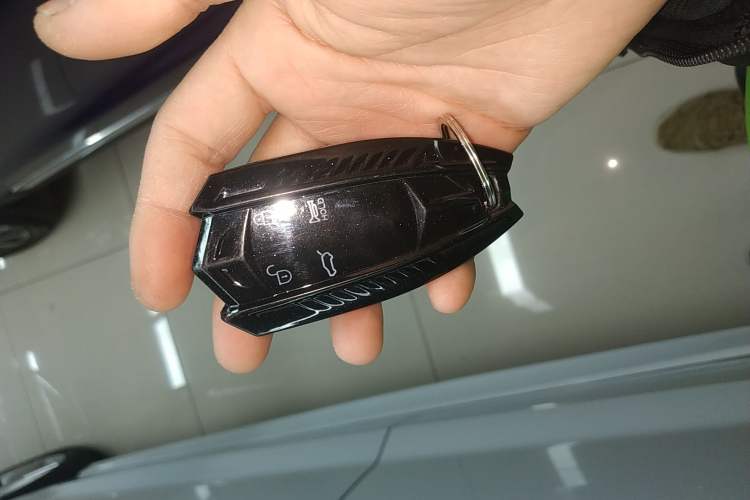 Used Hongqi HS5 2022 2.0T Smart Connect Flagship All-Wheel-Drive Version
