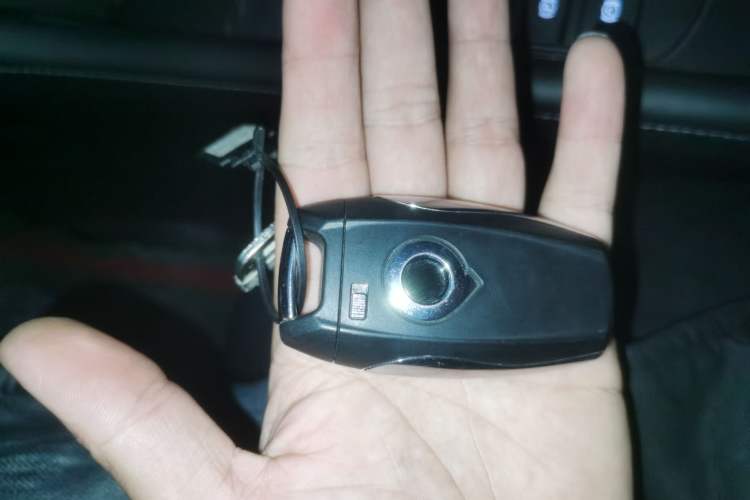 Used Great Wall Poer 2021 2.0T Global Version Passenger Automatic Diesel Two-Wheel Drive Comfort Trim Standard Cab GW4D20M