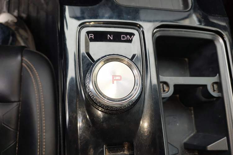 Used Haval DARGO 2022 2.0T DCT 4x4 Chinese Rural Dog Edition
