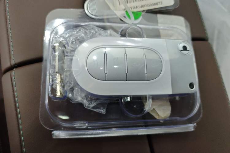 Used smart #5 2024 Long-Range Journey Luxury Edition
