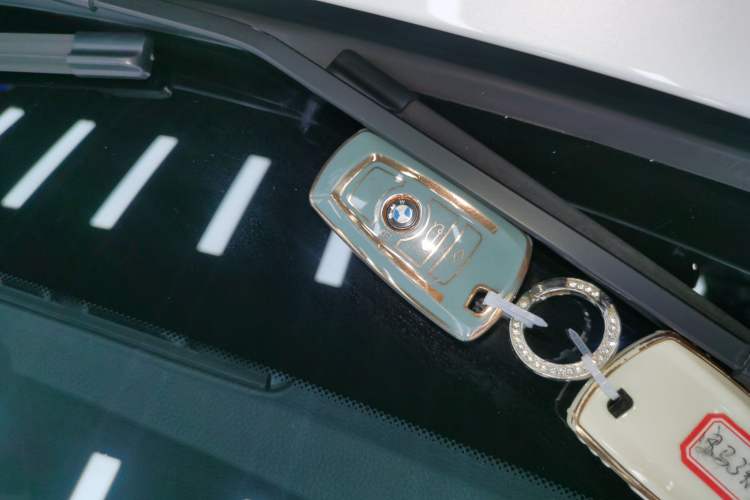 Used BMW 3 Series 2019 320Li Fashion Model
