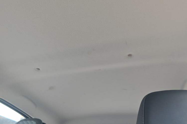 Used SOL E10X 2022 Flower Fairy Style Baby's Breath Headliner