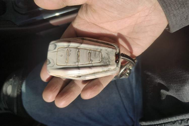 Used Geely Auto Monjaro L 2021 2.0TD DCT EVO Two-Wheel Drive Prestige Version
