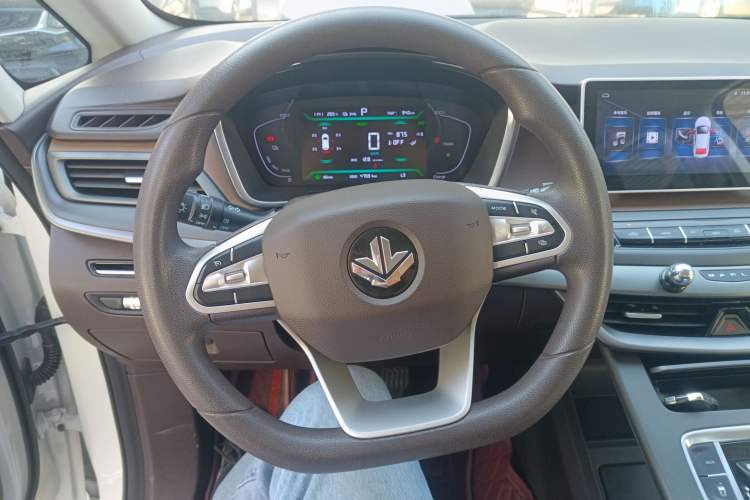 Used Livan Maple 80V 2021 Easy-Drive Version Lithium-Ion
