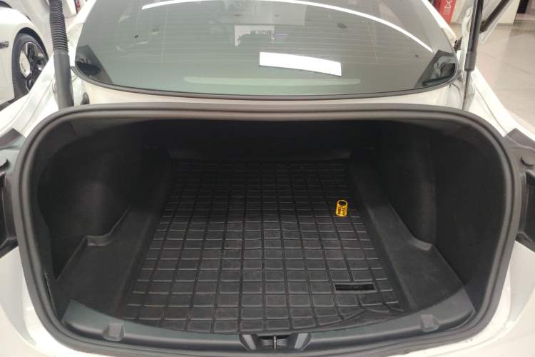 Used Tesla Model 3 2021 Standard Range Rear-Wheel Drive Upgraded Version 3D6
